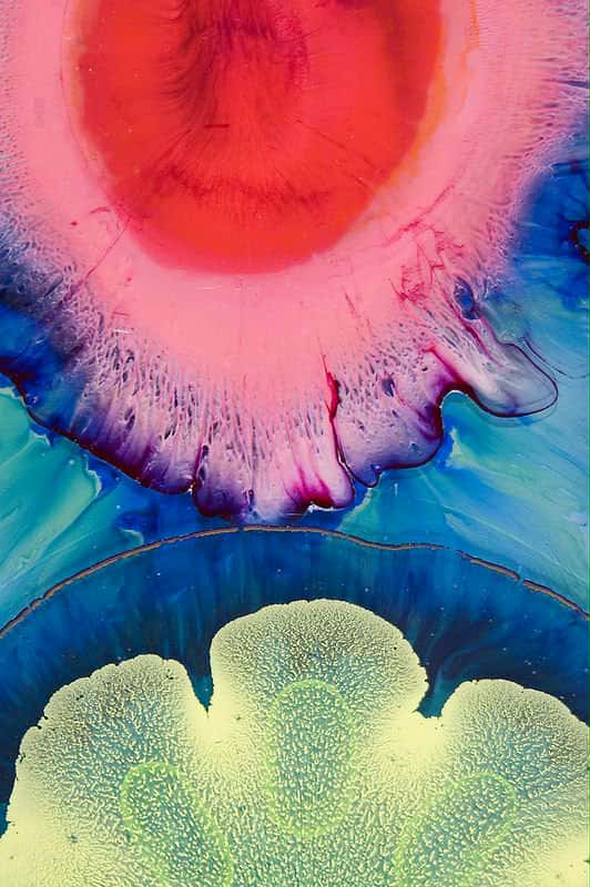 Guidance personnalisée